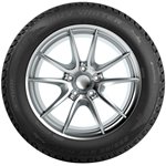 Orium Suv Winter