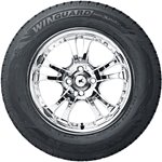 Opony Nexen Nexen WINGUARD winSpike LT