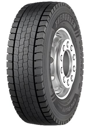 Opony Evergreen Evergreen EDL11