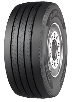Evergreen ETL25
