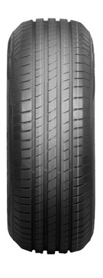 Opony Delmax Delmax UltimaPro UP1