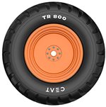 Opony Ceat Ceat TR 800