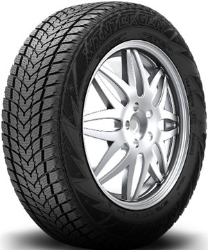 Kenda Wintergen KR19