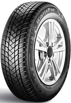 Opony GTRadial GTRadial Champiro WinterPro 2