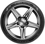 Opony Nexen Nexex N'FERA Sport SUV