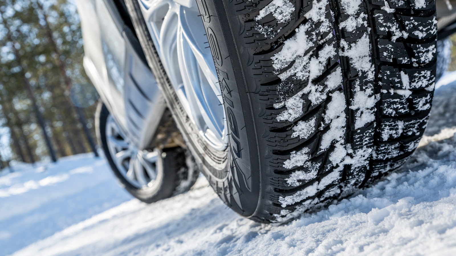 Nokian WR SUV 3